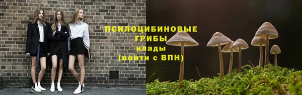 таблы Гусев