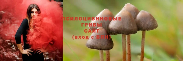 бутират Гусиноозёрск
