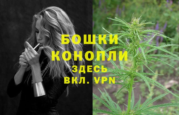 таблы Гусев