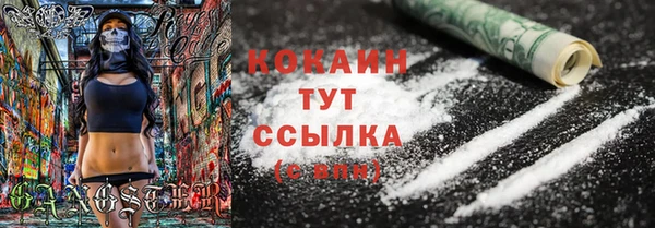 таблы Гусев