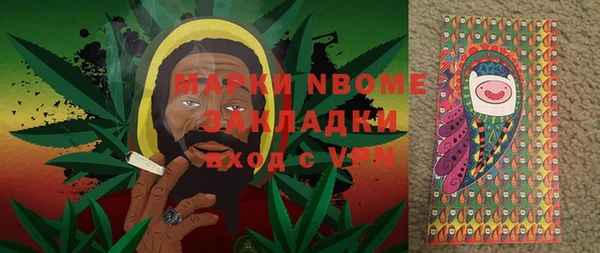 таблы Гусев
