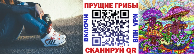 Купить закладки  Семилуки  Псилоцибиновые грибы Magic Shrooms 